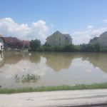 2013_Hochwasser_Goldwoerth_1