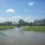 2013_Hochwasser_Goldwoerth_3